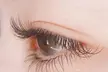 99 Beauty Salon&School: Classic, Hybrid, Volume, Mega, Wispy, Manga/Anime Eyelash Extensions (Up to 41% Off) - Second Medium