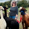 Image 2: Alpaca Walk and Feed for 1 or 2 w/ or w/o Tea and Cake