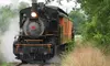 Historic Steam Engine Train Ride for Two or Four at Arcade & Attica Railroad (Up to 27% Off)