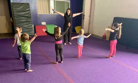 One Drop-In Beginner Aerial Class - Sky Bound Performance Arts Center