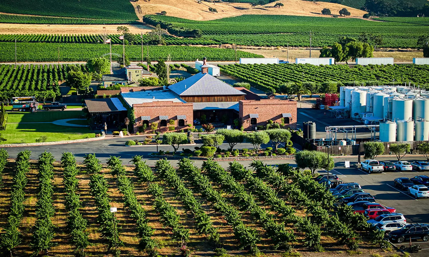 Wine Tasting w/ Chocolate Pairing for Two or Four w/ or w/o Bottle