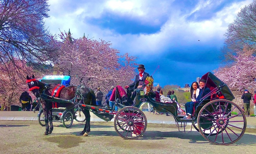 Image 2: Central Park Tours: Mini, VIP, Night, Moonlight, & More - Up to 4 