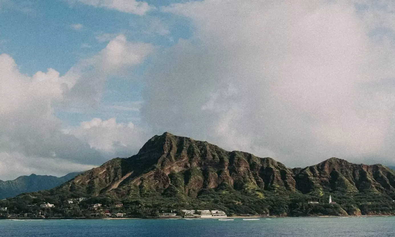 Experience a Waikiki Ocean Safari Tour