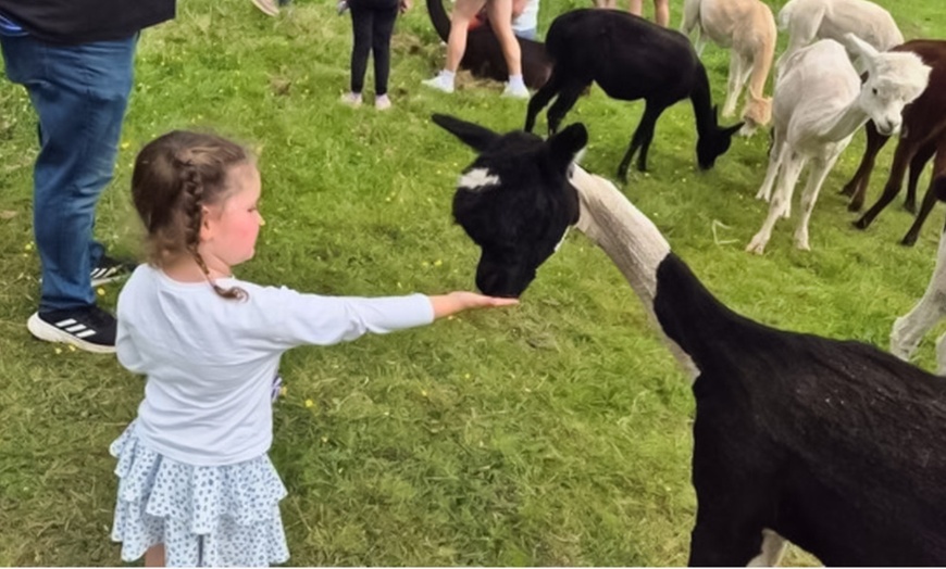 Image 6: Kids or Adult Ticket to 60-Minute Alpaca Meet & Greet Experience