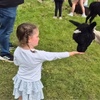 Image 6: Kids or Adult Ticket to 60-Minute Alpaca Meet & Greet Experience