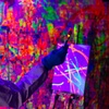 Image 3: Up to 69% Off on Painting Lesson at Neon Paint Place