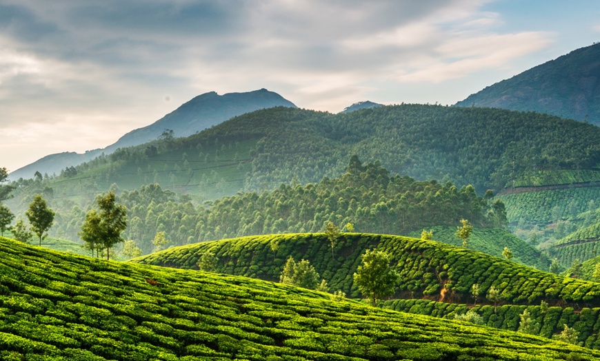 Image 5: Kerala: 2-Night Tour Package with 5* Hotel Stay