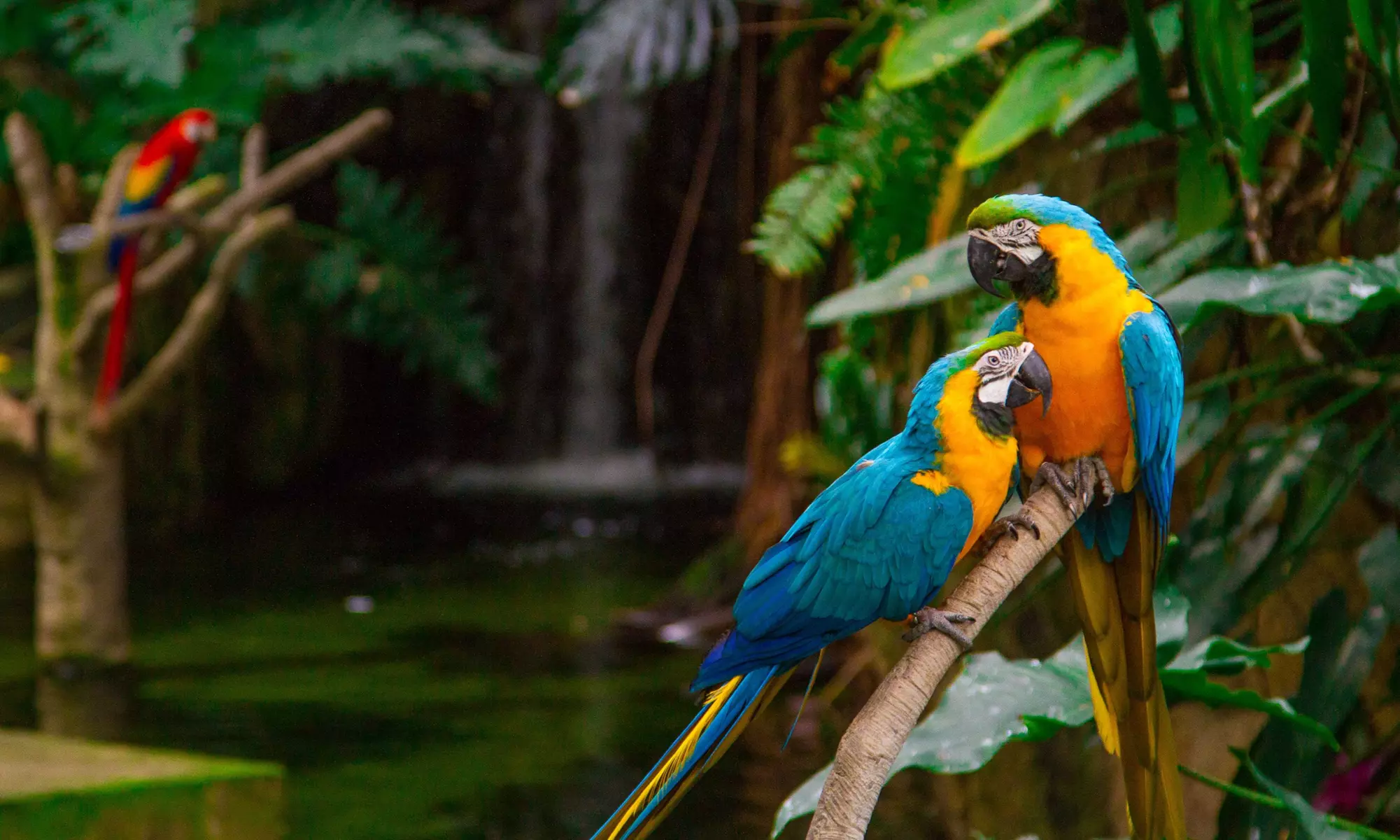 Up to 20% Off Value Pass at Moody Gardens