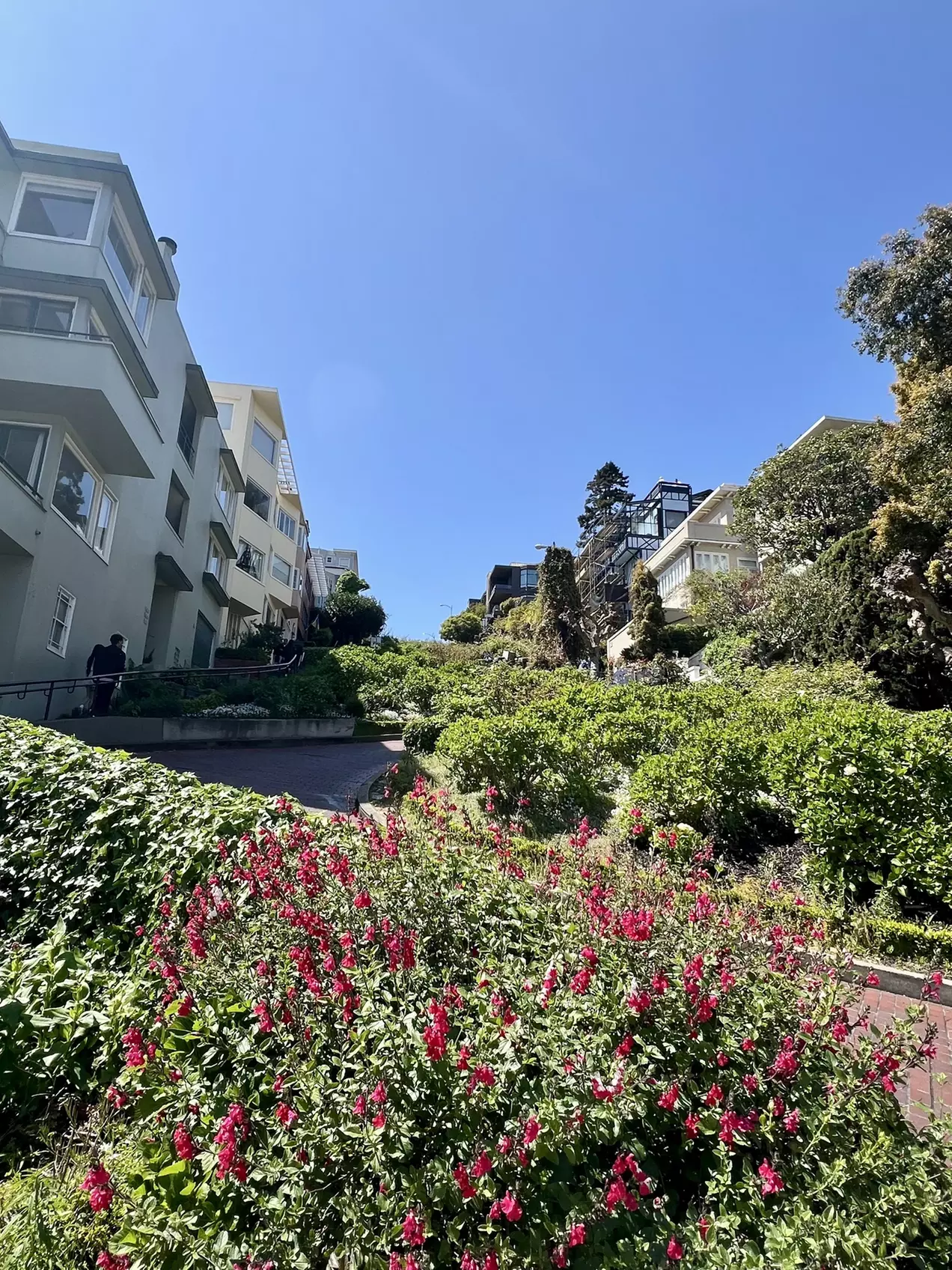 ✈ America’s Great West: A National Parks Expedition from Worldee