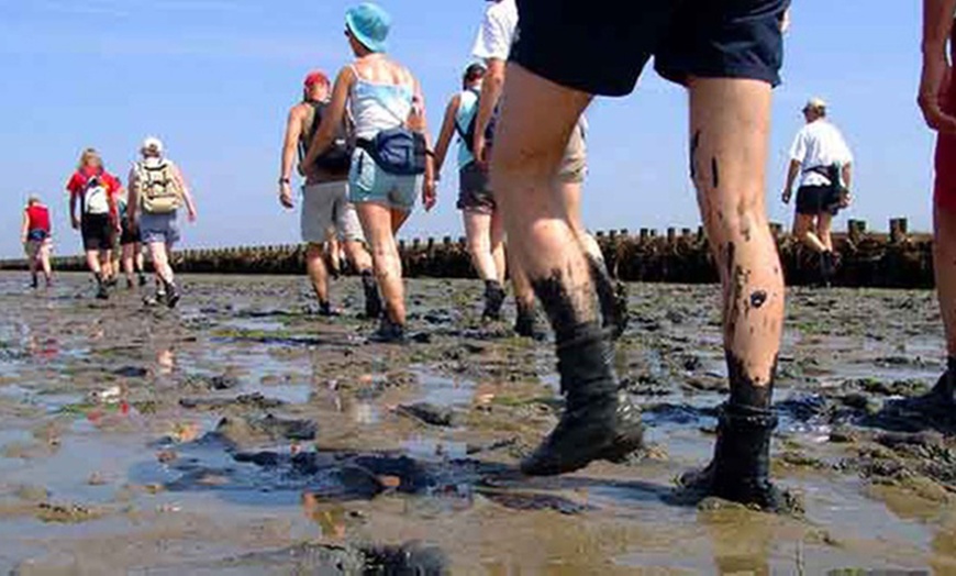 Image 3: Tour durch das Wattenmeer & Natur von Wadlopen-Pieterburen