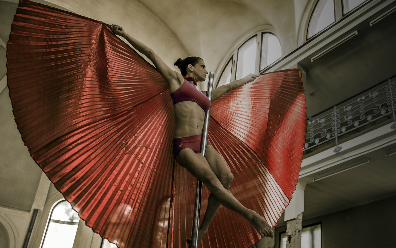 1-5 Trainingseinheiten à 60 Min.: Pole Sport/Pole Dance