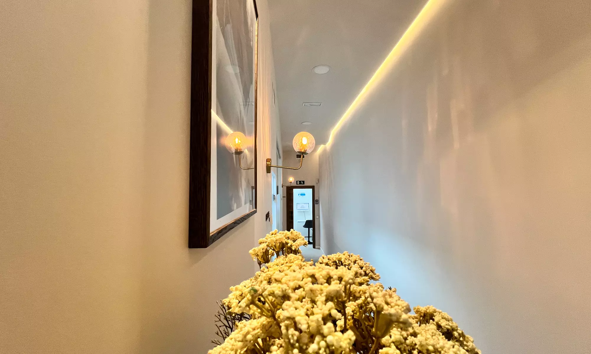 Blanqueamiento dental led