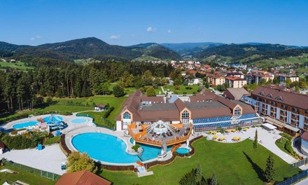1 notte: appartamento per 4 con 2 biglietti Piscine termali e Sconto Villaggio delle Saune e buono wellness - Terme Zreče