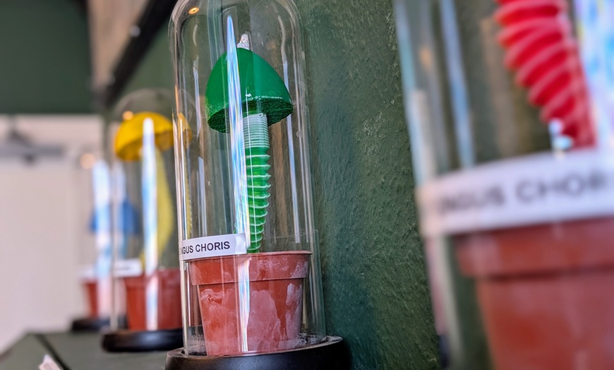 Image 5: Challenge Your Mind: Escape Room Game for Two to Six Players