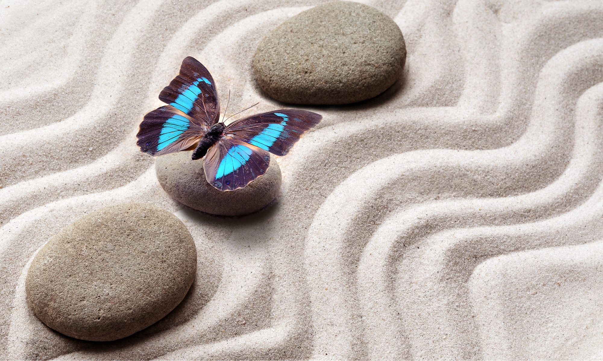 Apaiser la douleur émotionnelle avec l’hypnose