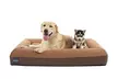 Laifug Pet Orthopedic Bed  - Second Medium