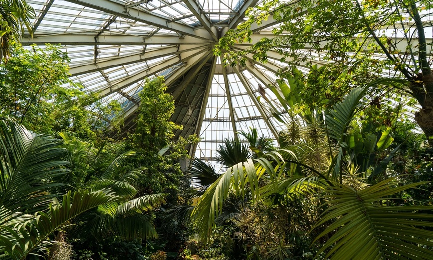 Image 21: ✈ Azure Coast Vacation: 7-Day Getaway with Air & Hotel from Worldee