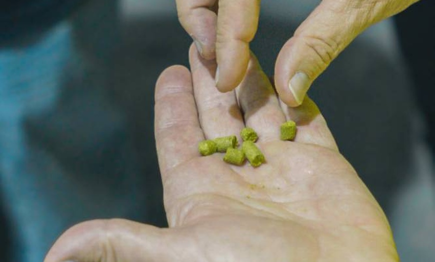 Image 23: Brewery Tour & Tasting at Award-Winning — 