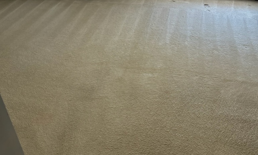 Image 2: Rug Cleaning & Steam Services + Odor Removal, Fiber Protection & Packs