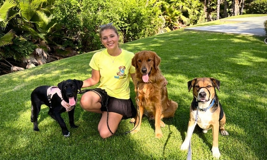 Image 4: 30-Minute GPS-Tracked Dog Walk with Photo & Video Updates