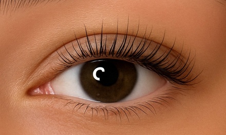 One Eyelash Lift Treatment - Glam Esthetix