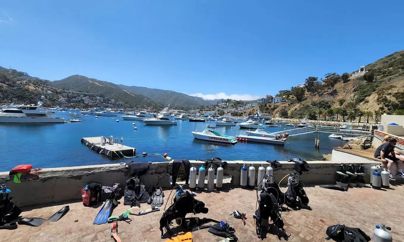 Explore with 2 Hour Casino Point, Night, Power Snorkeling for 2 or 4