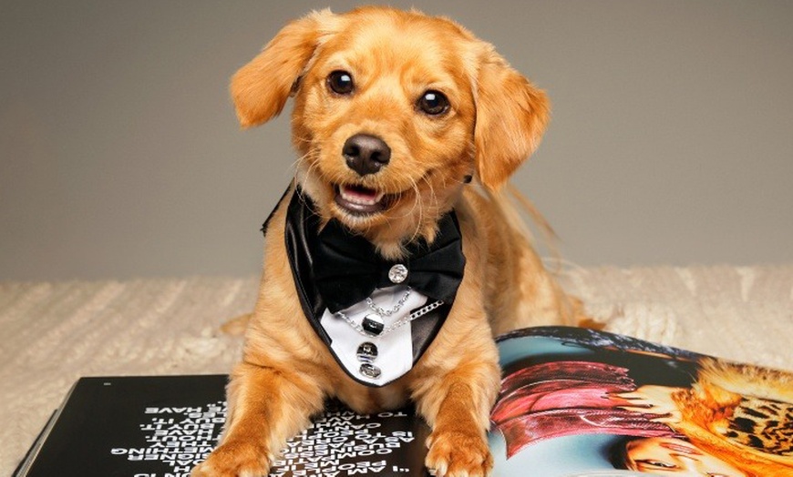 Image 12: Tailored Individual, Couple, Family or Pet Photo Shoot Experience