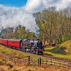 Image 5: North Yorkshire Moors Railway Day Rover Tickets: Up to 51% Off