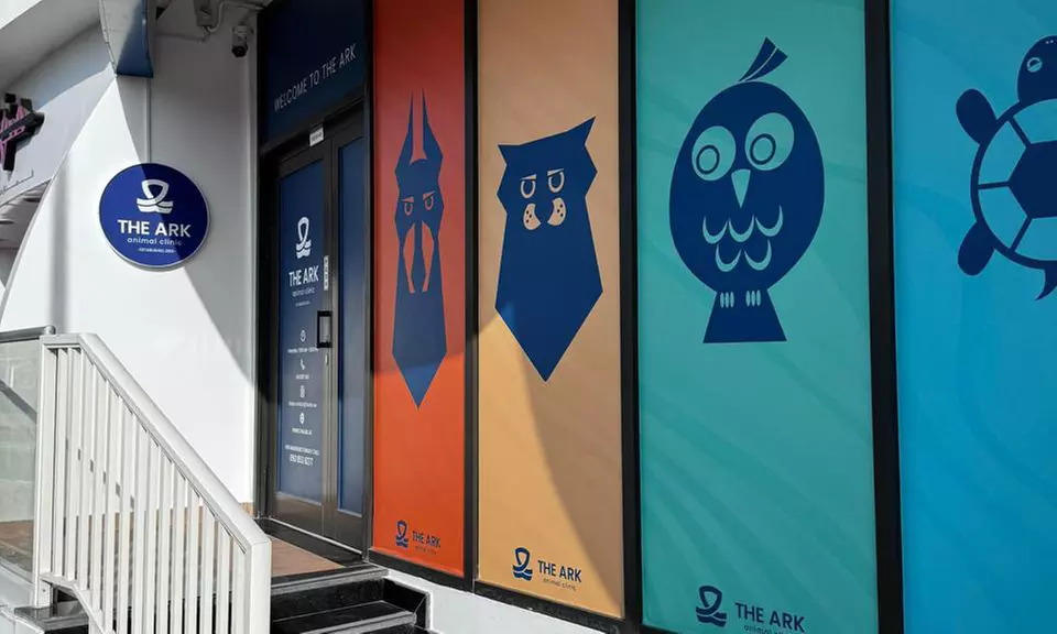 Treat your Cats/Dogs with Basic/Full Grooming from 10 to above 30 kg