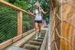 Explore Avondale's Treetop Walk & Viewing Tower with Forest Adventures & Panoramic Views for Children, Adults & Family - Image 6