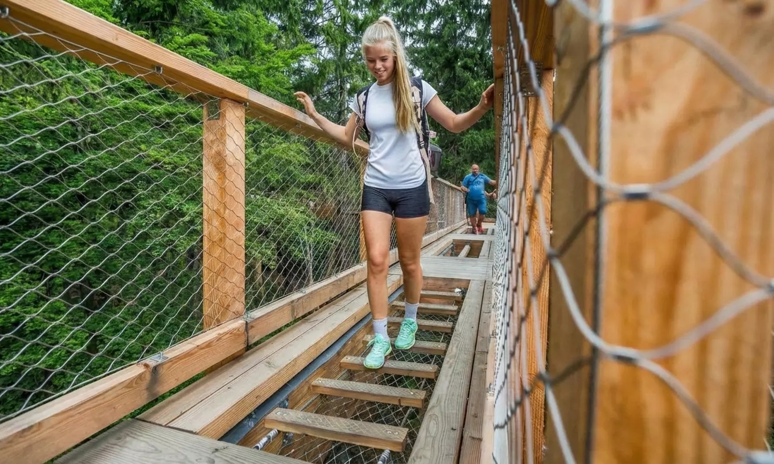 Elevated Treetop Walk & Viewing Tower – Panoramic Wicklow Views