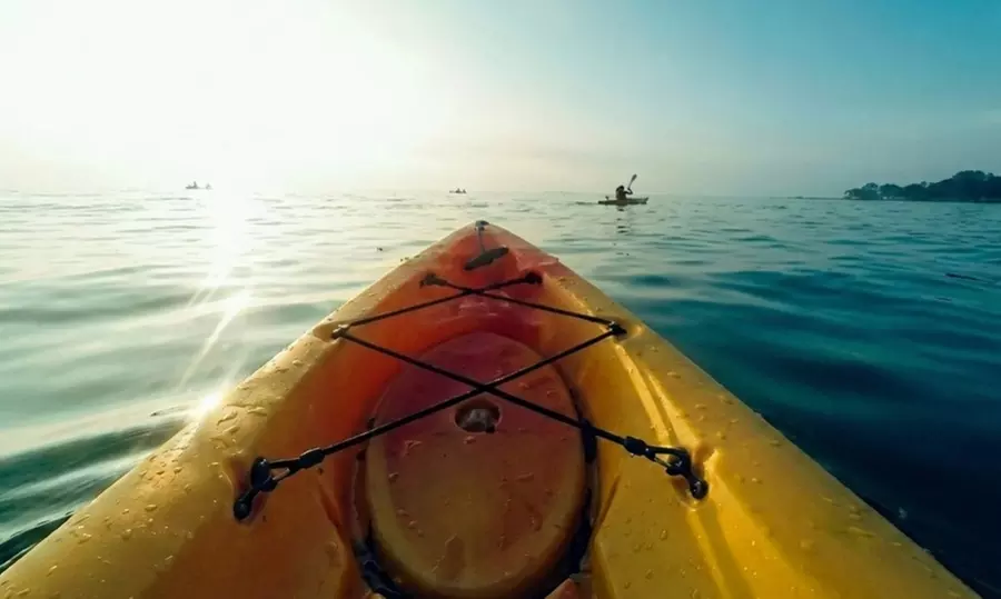 Alquiler de kayak individual 1 h para 1, 2 o 4 personas