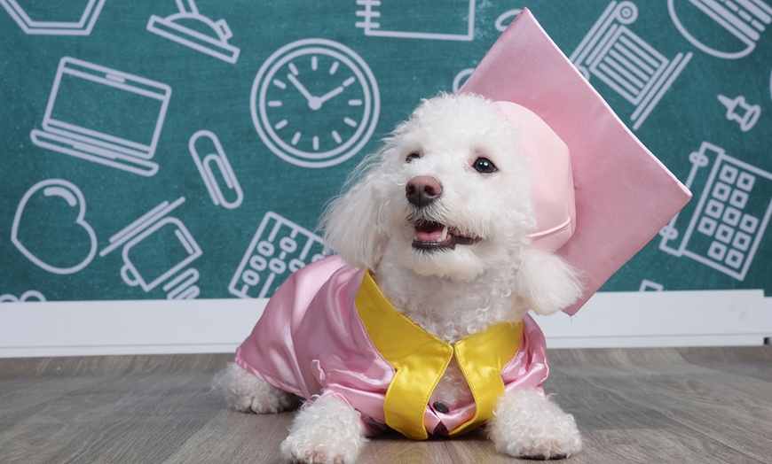 Image 5: JCPenney Portraits In-Studio Family & Pet Photography Sessions