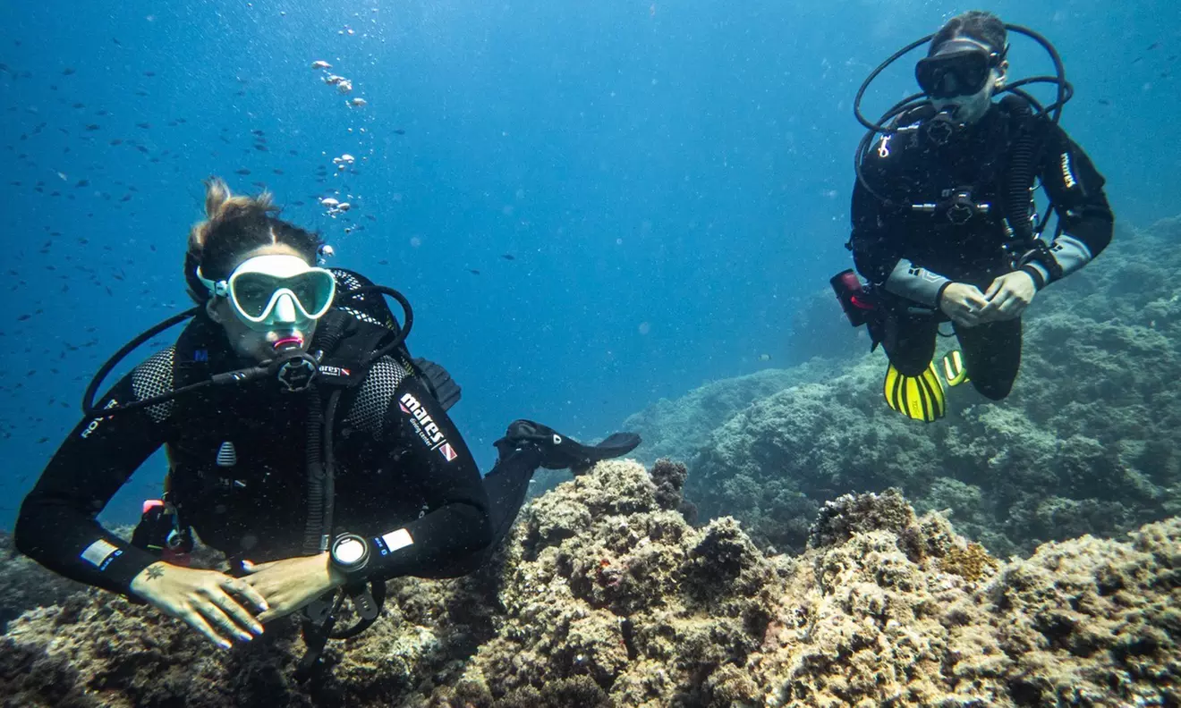 Bautizo de buceo o excursión snorkel con fotos