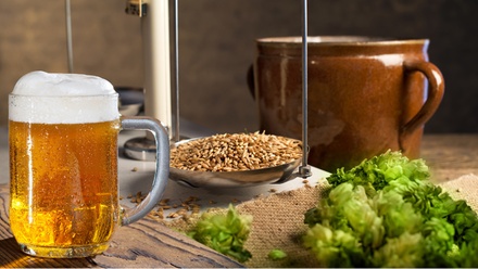 Online Home Brewing Beer Course - International Open Academy