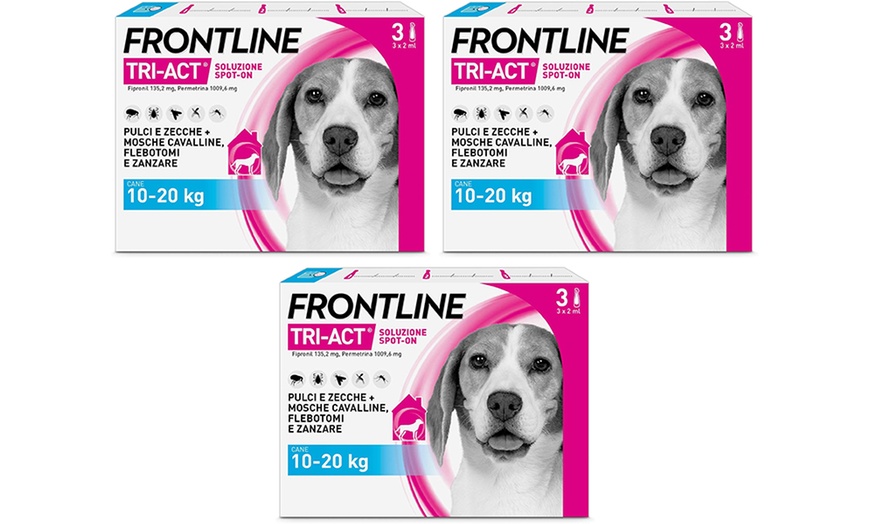 Image 5: Fino a 12 pipette Frontline Tri-Act® Spot-on per cani