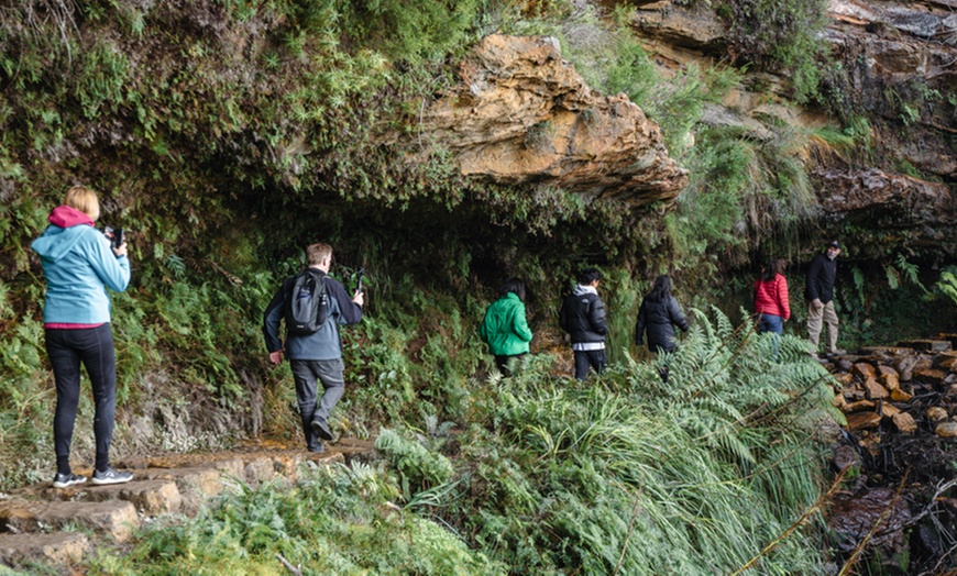 Image 1: Blue Mountains or Hunter Valley Tour: Wildlife, Wine & Scenic Wonders!