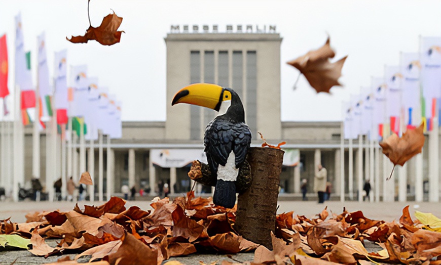 Image 2: Messe Bazaar Berlin: 1 Ticket einlösbar vom 05.-09.11.2025