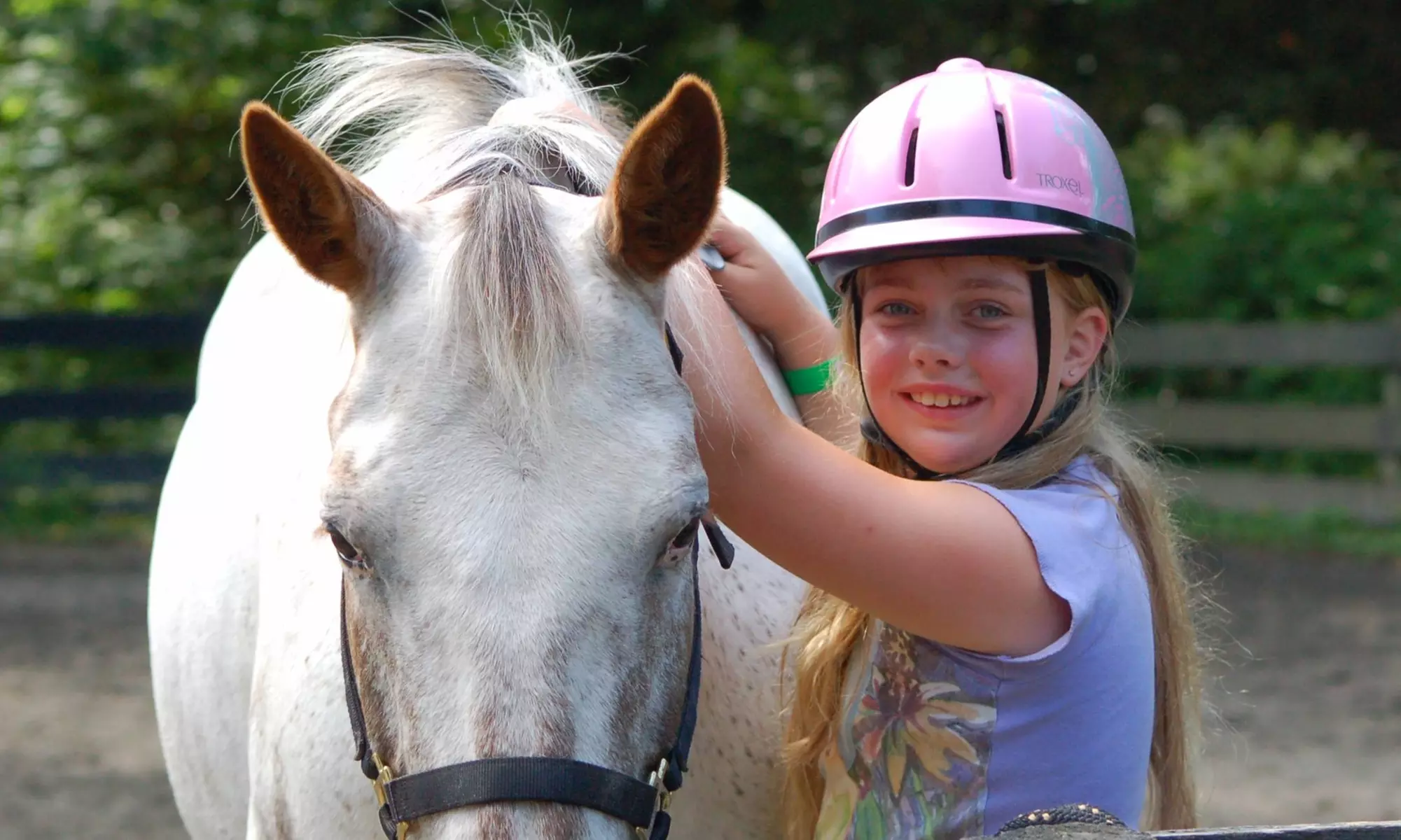 One Week of Full-Day Horseback Riding Camp at Legacy Stables (Up to 30% Off) - Primary Image