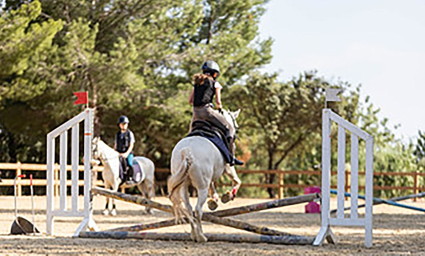 Image 5: 1 o 3 clases de equitación de todos los niveles para 1 persona