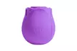 Rose Toy Clitoral Sucking Vibrator - 10 Speed with USB Charge Waterproof G SPOT - Second Medium