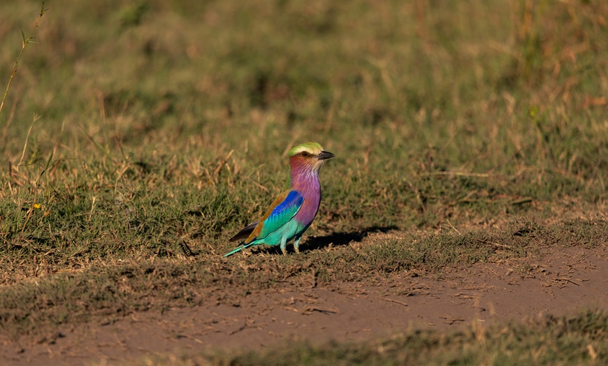 Image 29: Zimbabwe: 7-Night Yoga & Safari Retreat