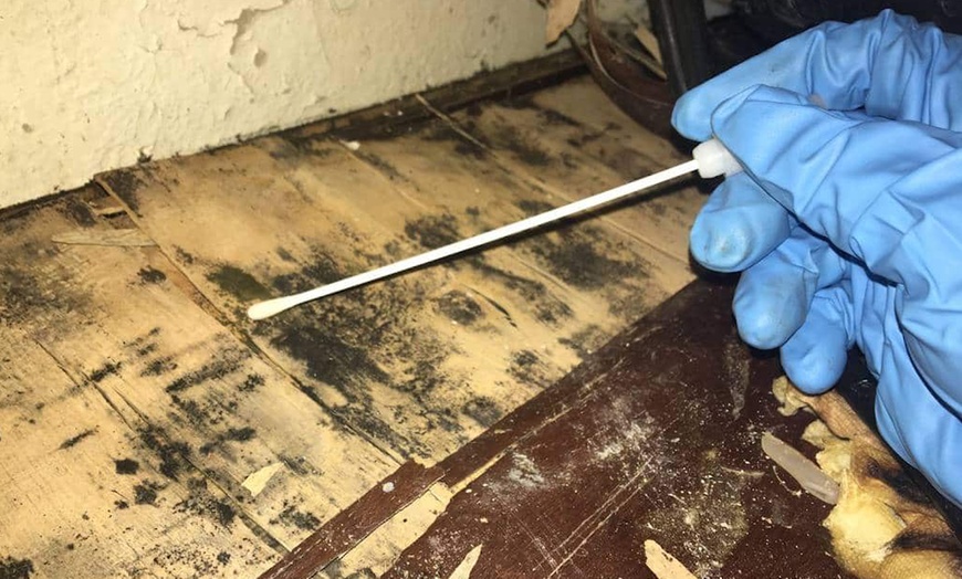 Image 2: Apex Mold Inspection: Home Air Quality Test & Visual Inspection