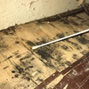 Image 2: Apex Mold Inspection: Home Air Quality Test & Visual Inspection