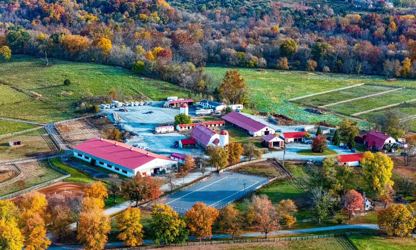 Experience Horseback Trail Rides in Northern Virginia's Horse Country