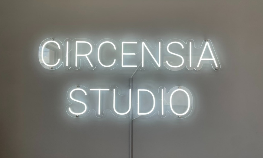 Image 3: Experience Circus Arts: Single or Ten Visits for any Apparatus Class
