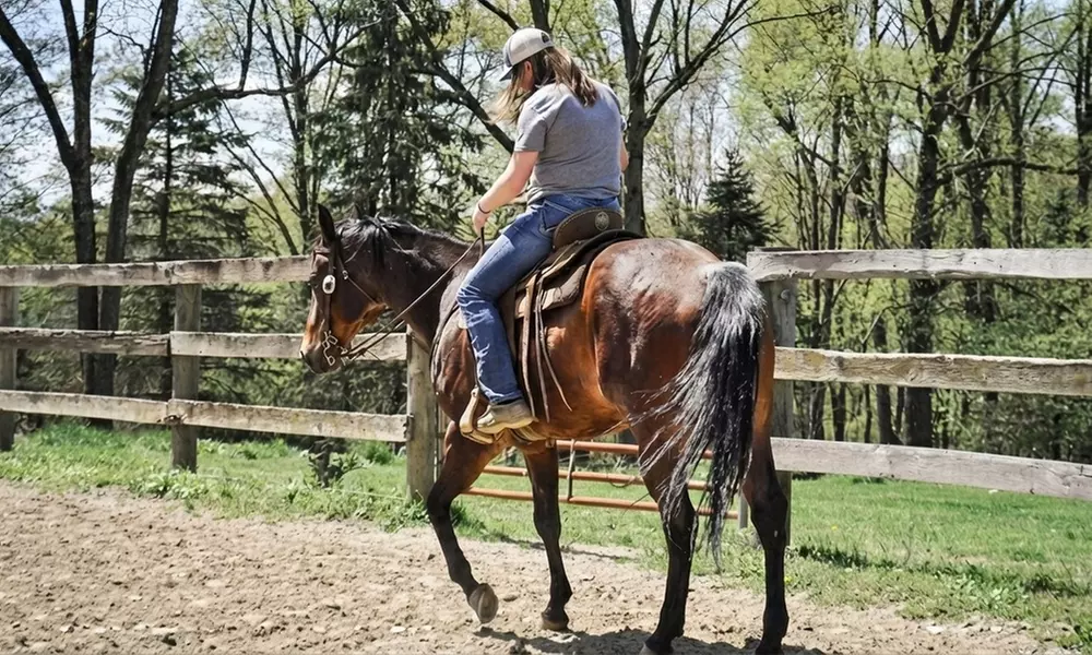 Horseback Riding Adventures on Scenic Trails