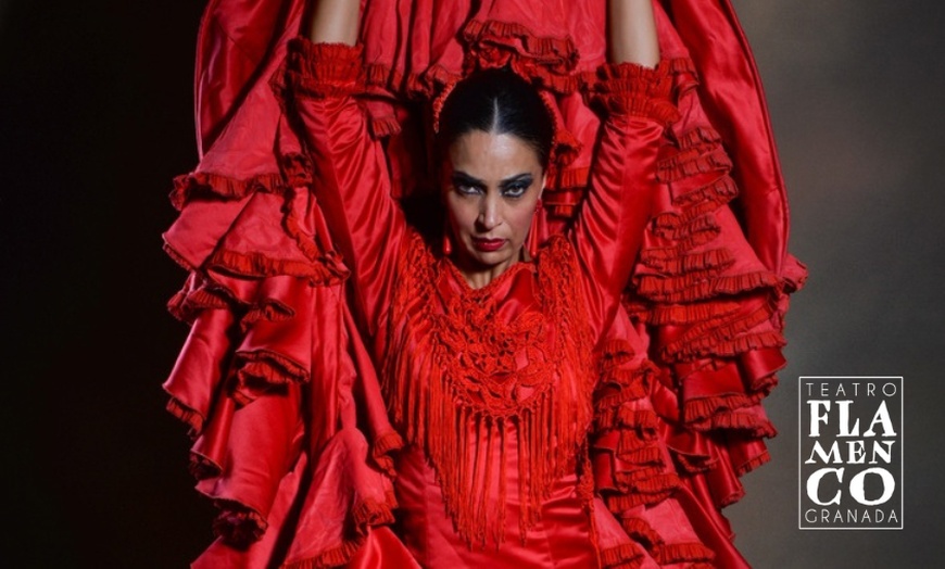 Image 1: 1 entrada general para el show de flamenco "Sensaciones" en Granada