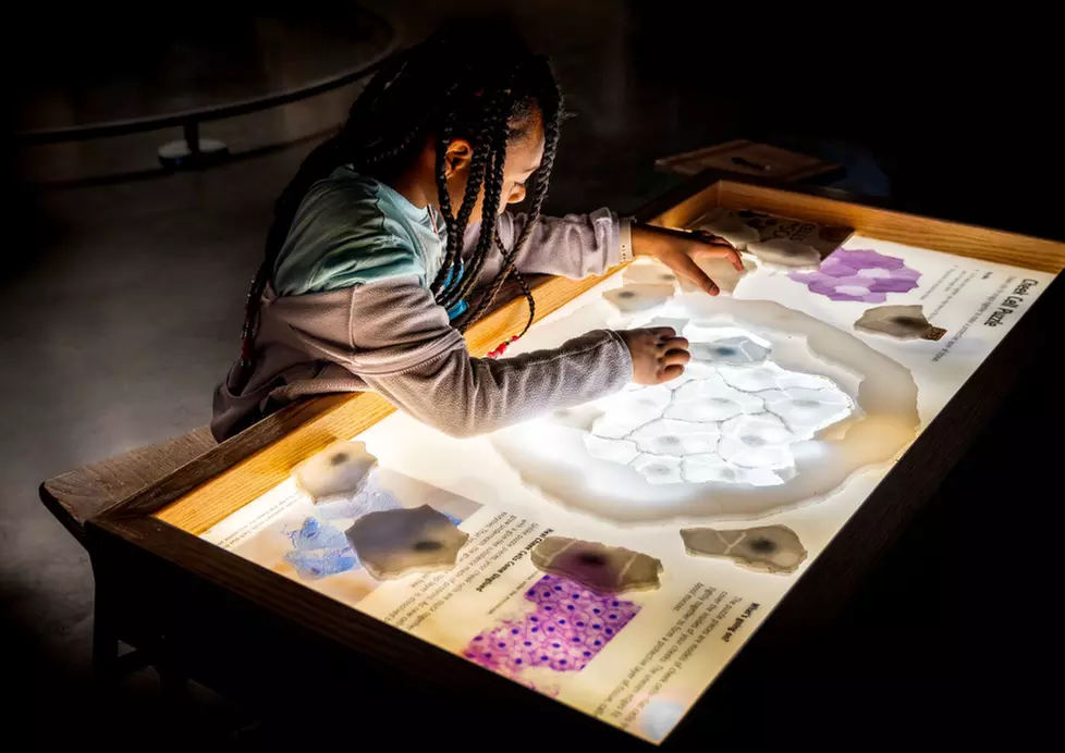 Take Your Imagination Out to Play: Experience the Exploratorium
