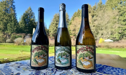 At Windy Oaks Estate - Wine Tasting Experience for Two + One $10 Bottle Credits - Windy Oaks Winery